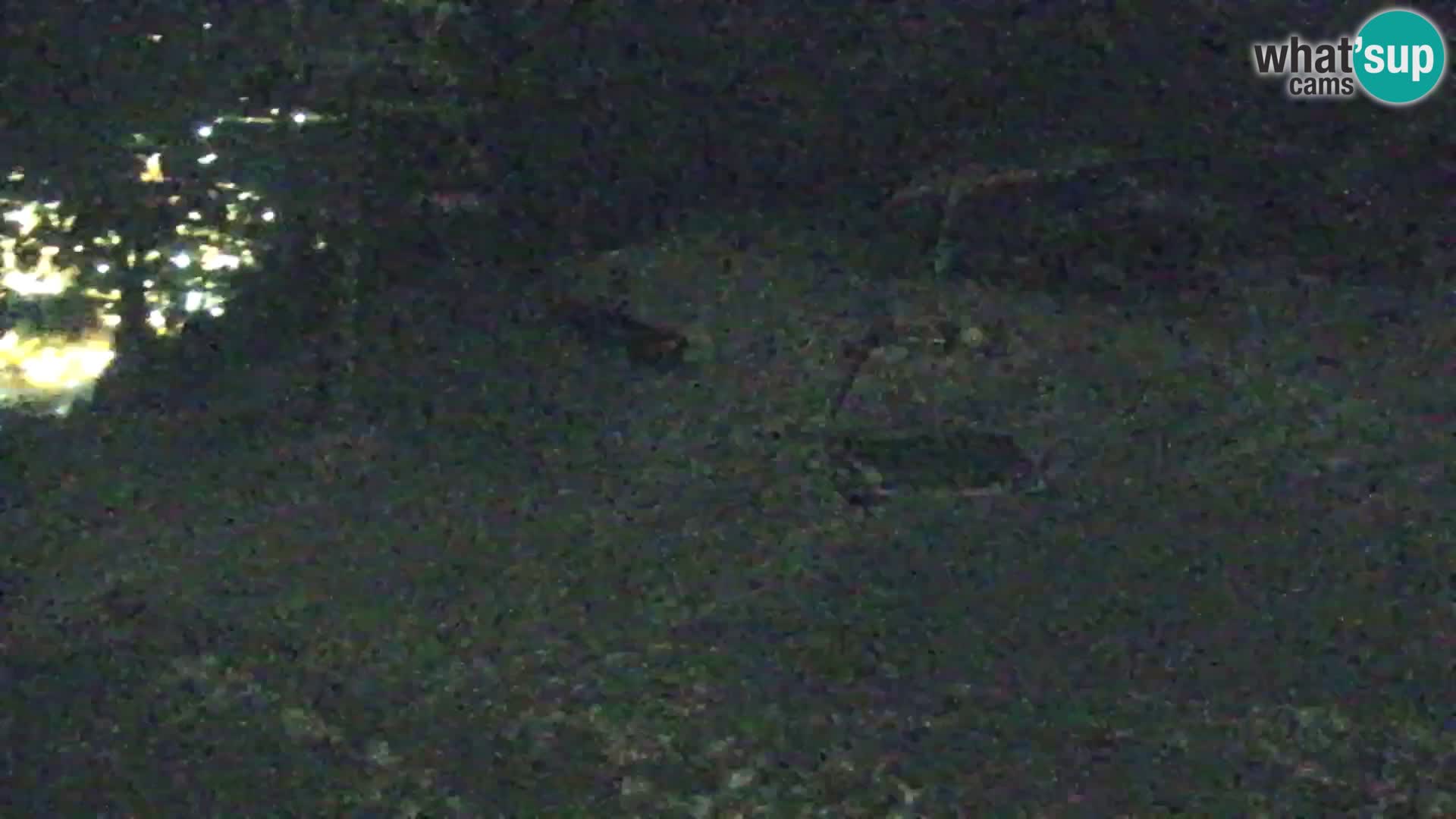 Vitranc Kranjska Gora webcam | VITRANC 1 stazione superiore