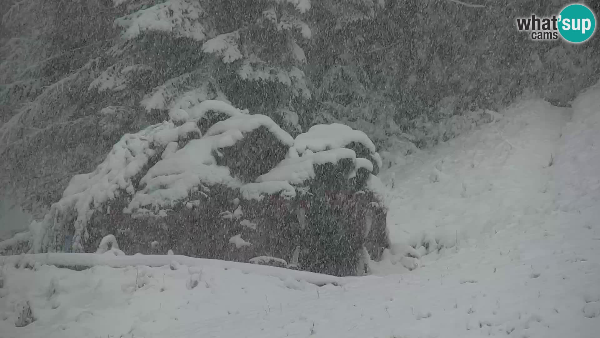 Ski Resort Kranjska Gora | VITRANC 1 upper station