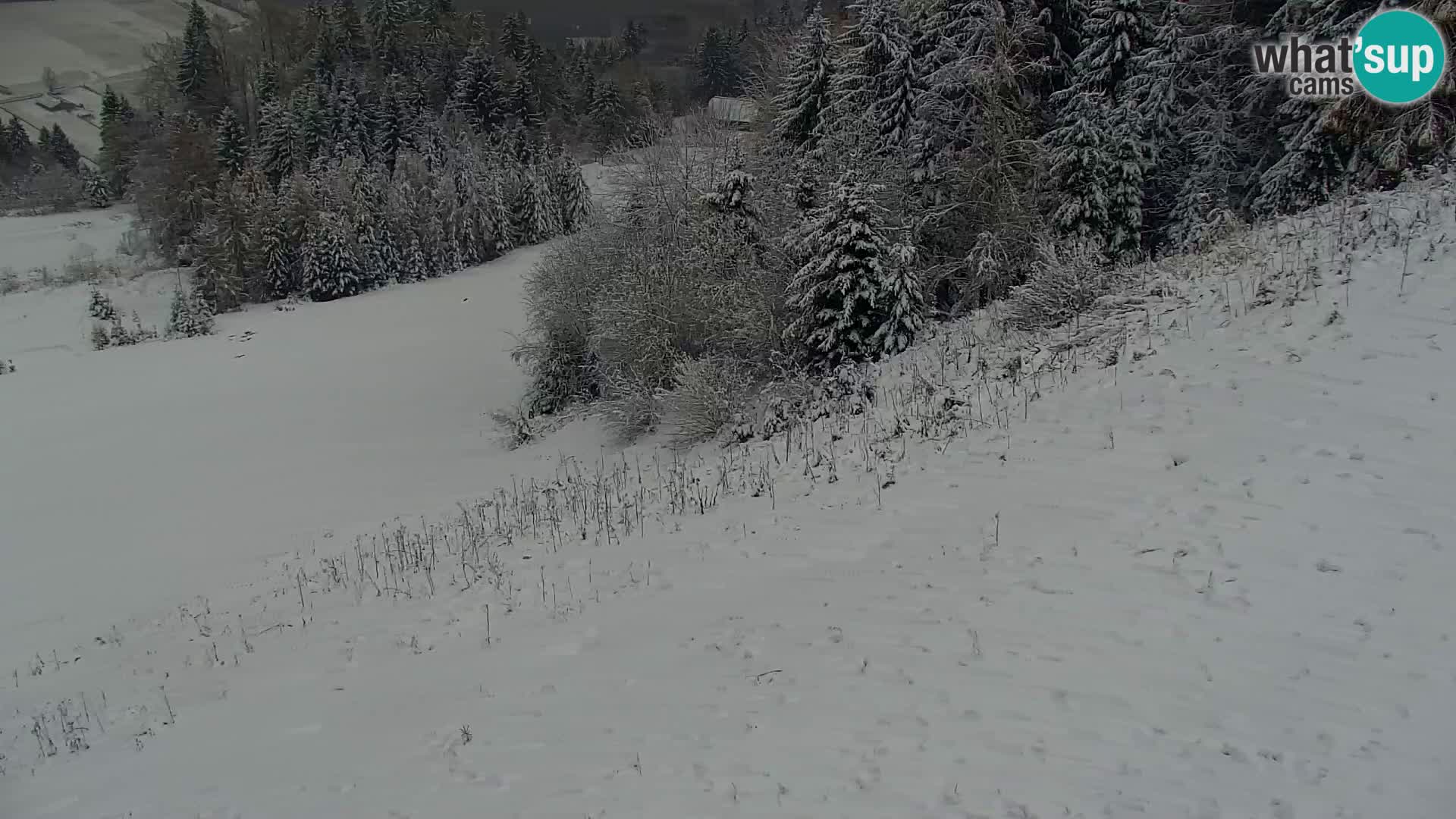 Vitranc Kranjska Gora webcam | VITRANC 1 stazione superiore