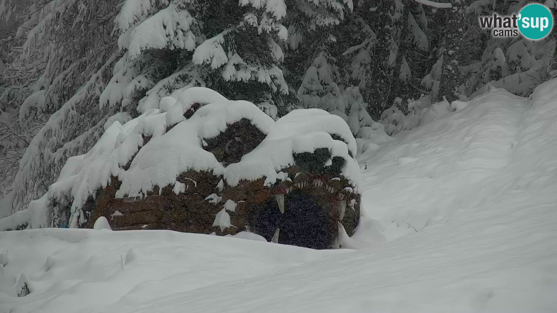 Kranjska Gora kamera VITRANC 1 | Zgornja postaja