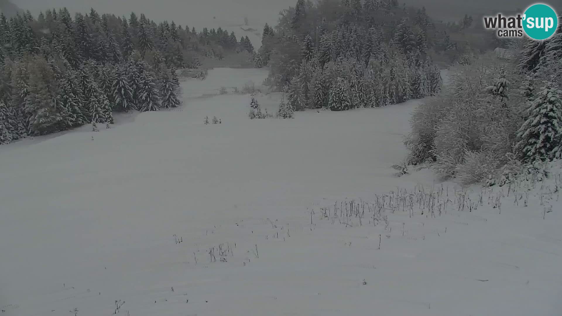Estación de esquí Kranjska Gora | Estación superior VITRANC 1