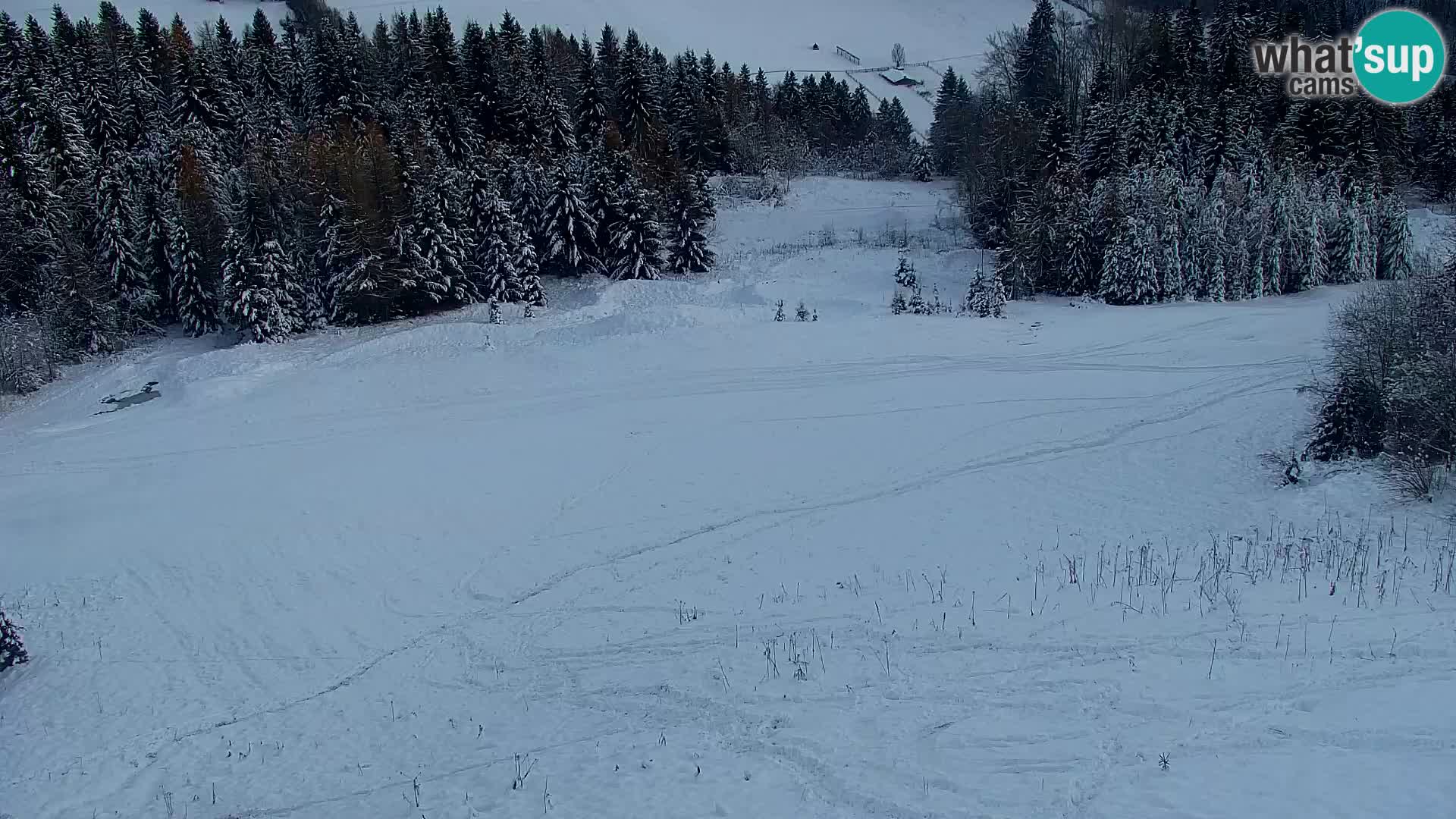 Vitranc Kranjska Gora webcam | VITRANC 1 stazione superiore