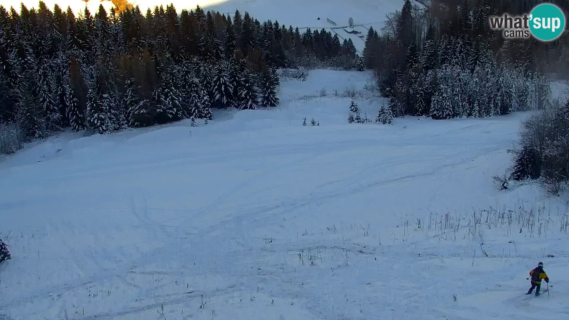 Vitranc Kranjska Gora webcam | VITRANC 1 stazione superiore
