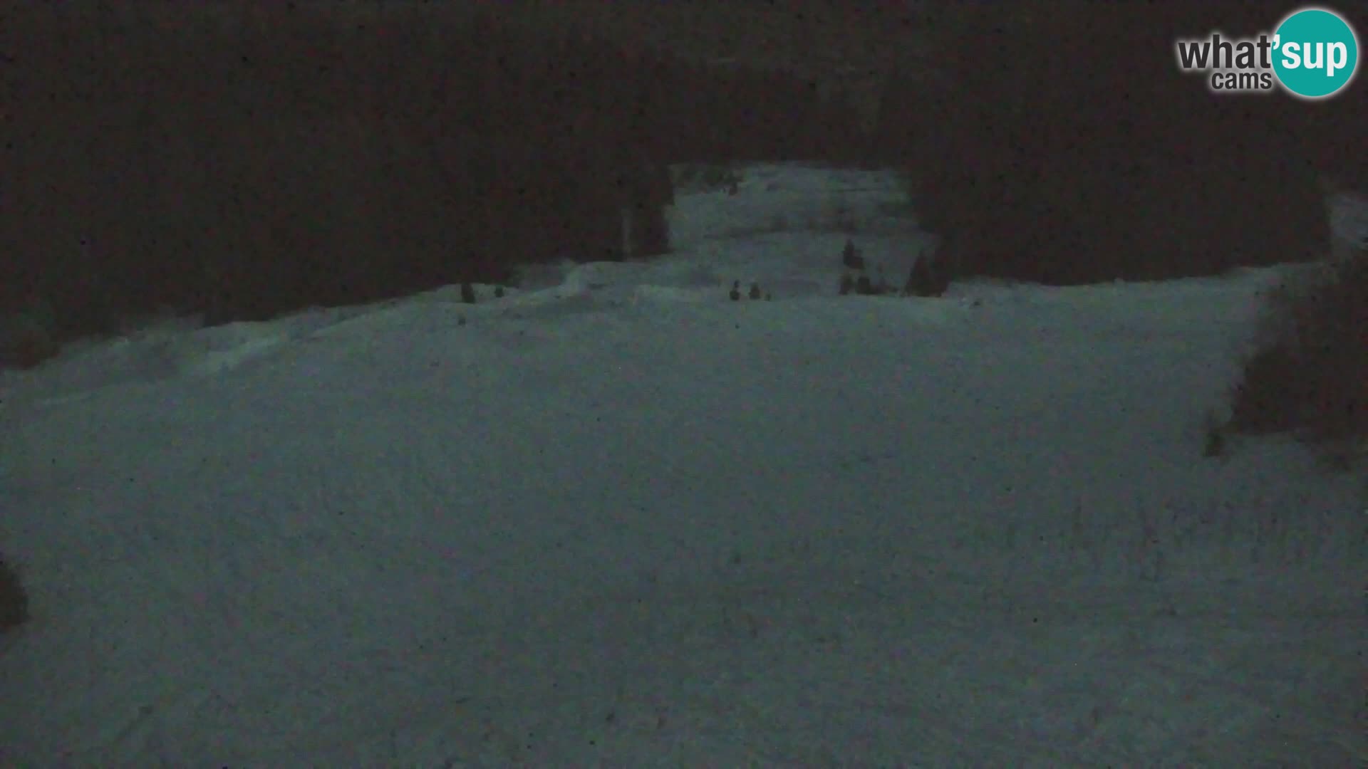 Vitranc Kranjska Gora webcam | VITRANC 1 stazione superiore