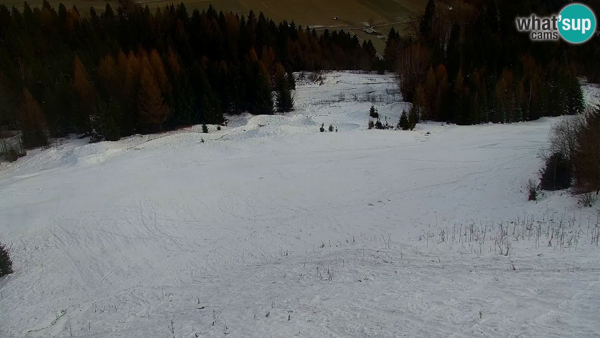 Vitranc Kranjska Gora webcam | VITRANC 1 stazione superiore