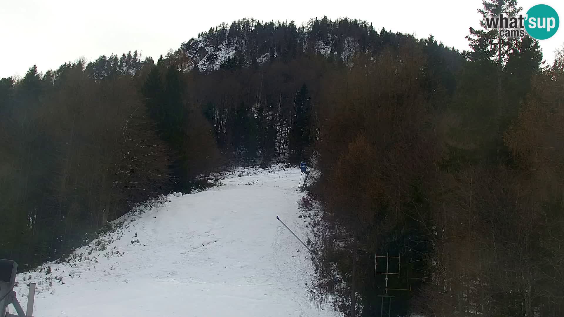 Kranjska Gora kamera VITRANC 1 | Zgornja postaja