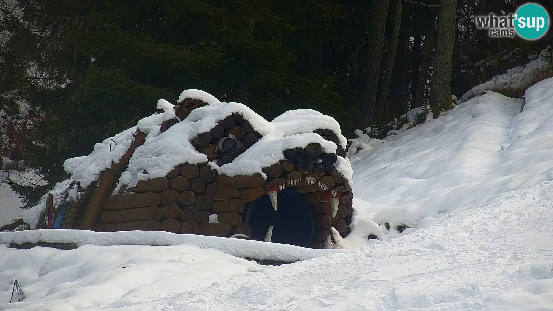 Kranjska Gora livecam VITRANC 1 | estación superior