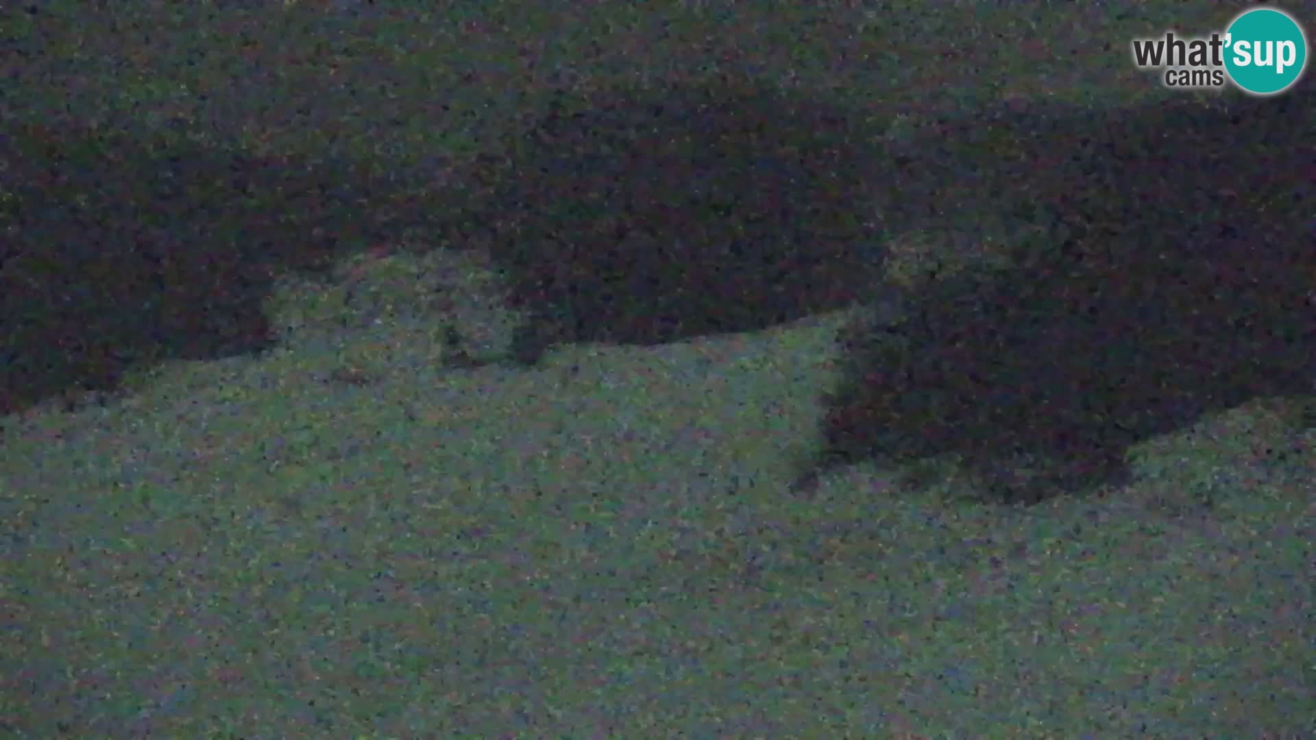 Vitranc Kranjska Gora webcam | VITRANC 1 stazione superiore