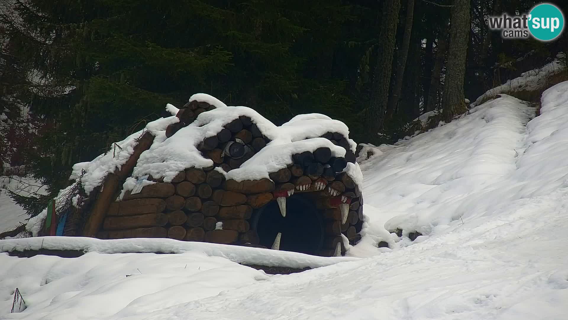 Kranjska Gora kamera VITRANC 1 | Zgornja postaja