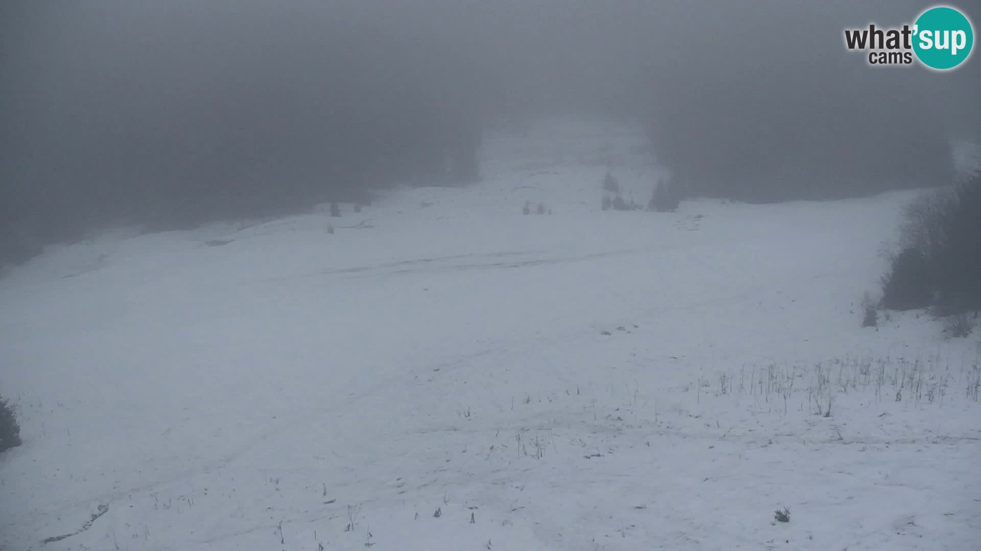 Vitranc Kranjska Gora webcam | VITRANC 1 stazione superiore