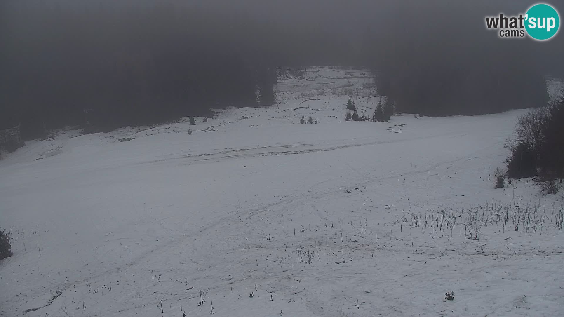 Vitranc Kranjska Gora webcam | VITRANC 1 stazione superiore