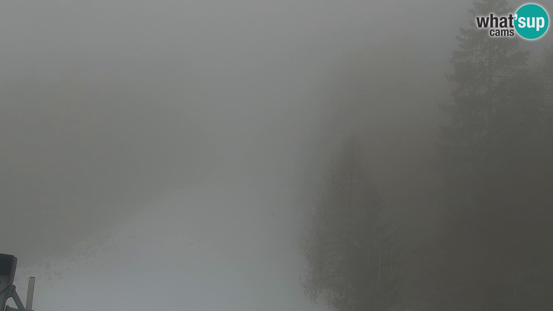 Vitranc Kranjska Gora webcam | VITRANC 1 stazione superiore