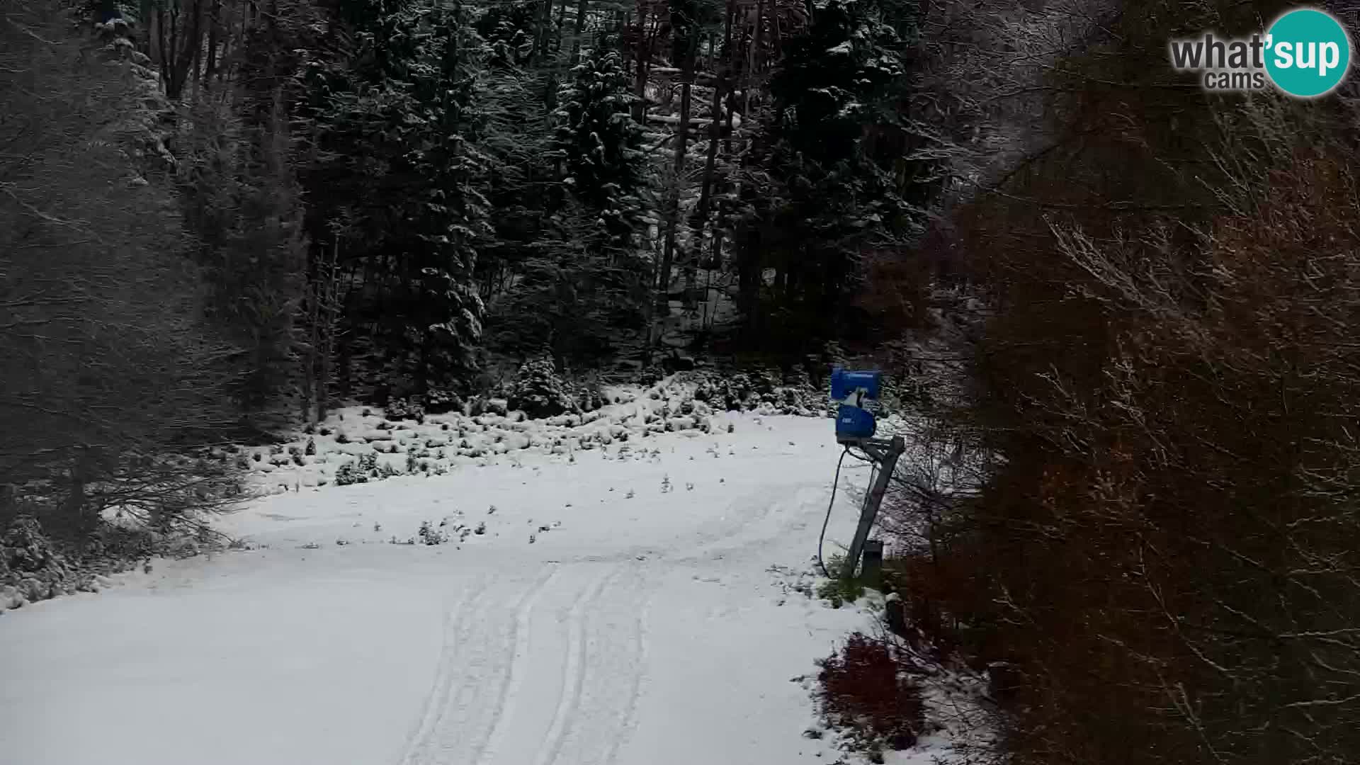 Kranjska Gora webcam VITRANC 1 | obere Station