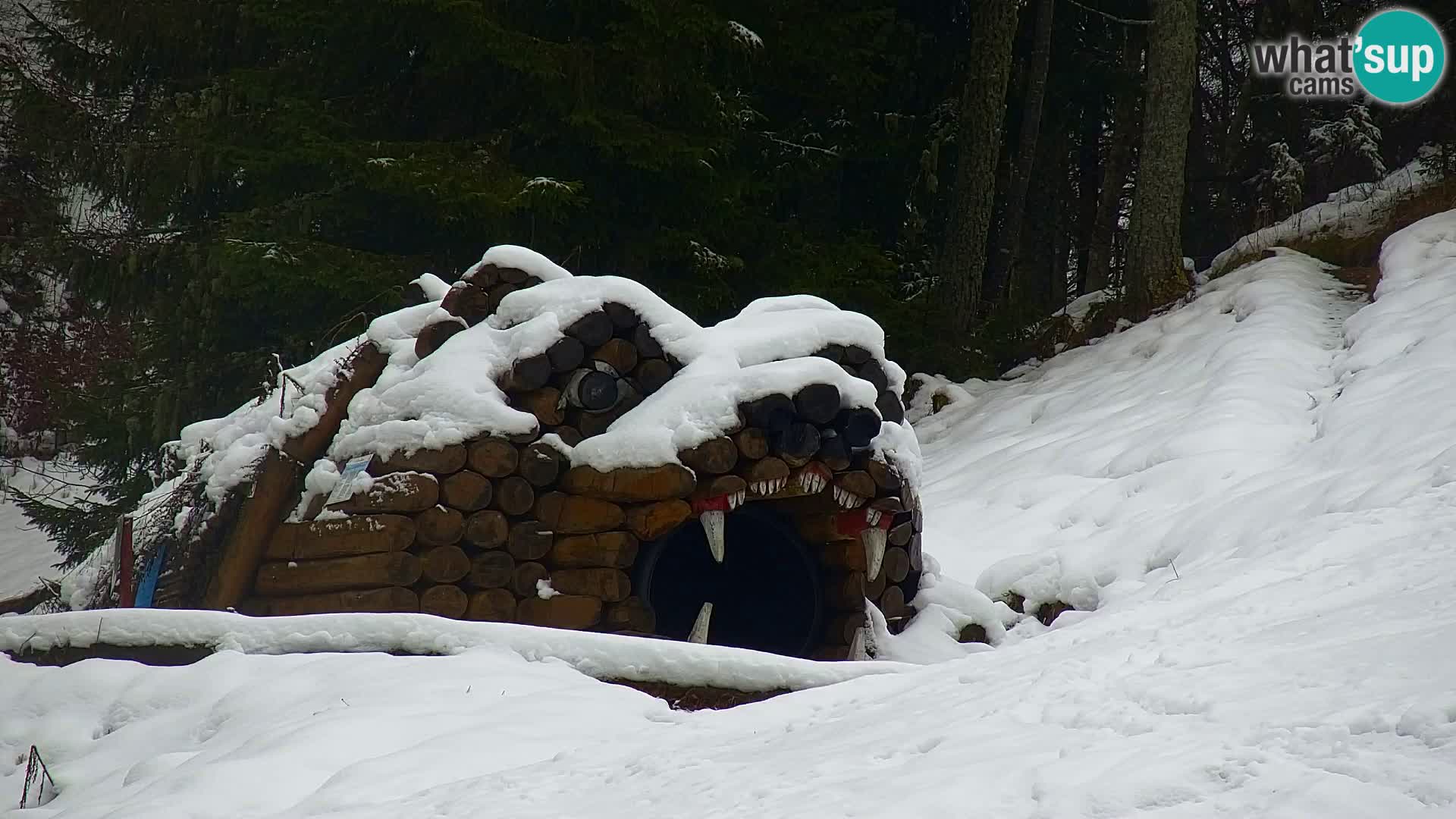 Kranjska Gora web kamera Vitranc | VITRANC 1 gornja postaja