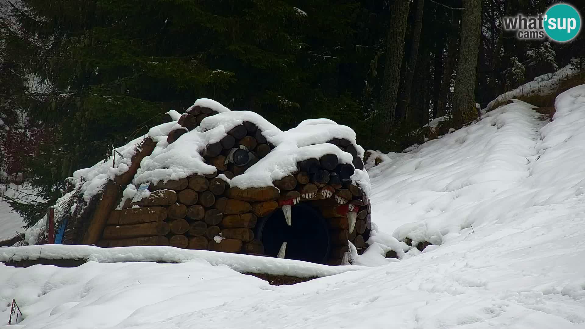 Kranjska Gora web kamera Vitranc | VITRANC 1 gornja postaja