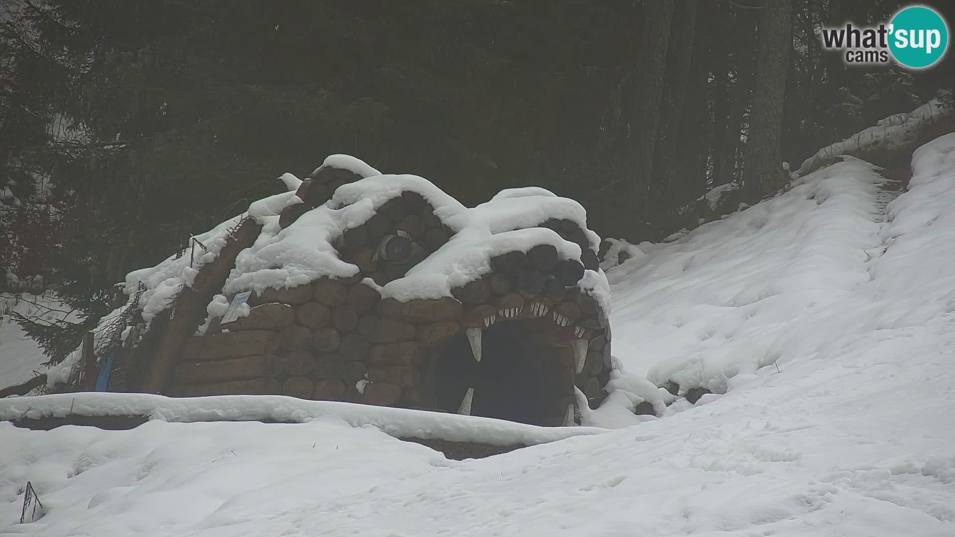 Vitranc Kranjska Gora webcam | VITRANC 1 stazione superiore