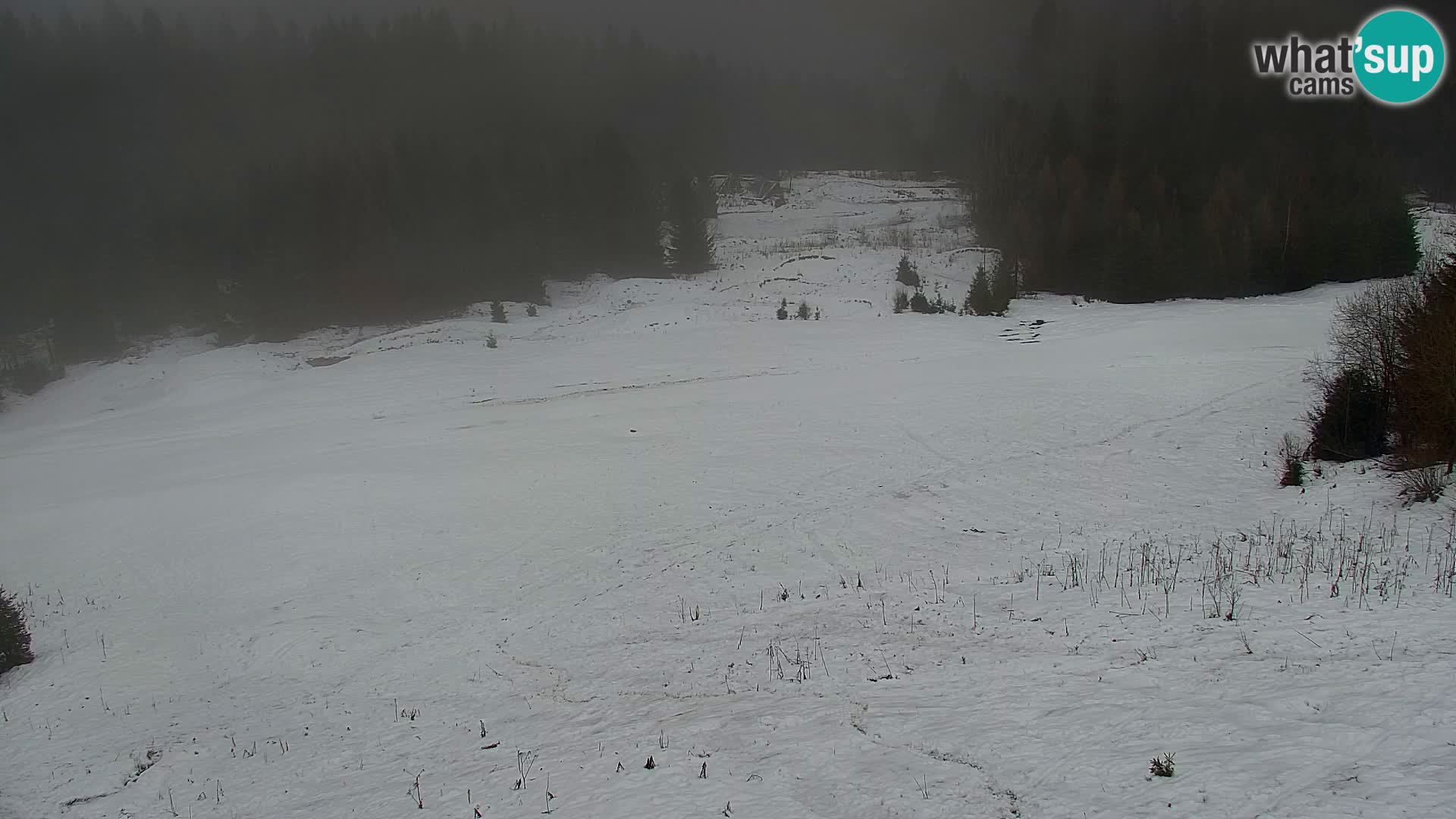 Vitranc Kranjska Gora webcam | VITRANC 1 stazione superiore