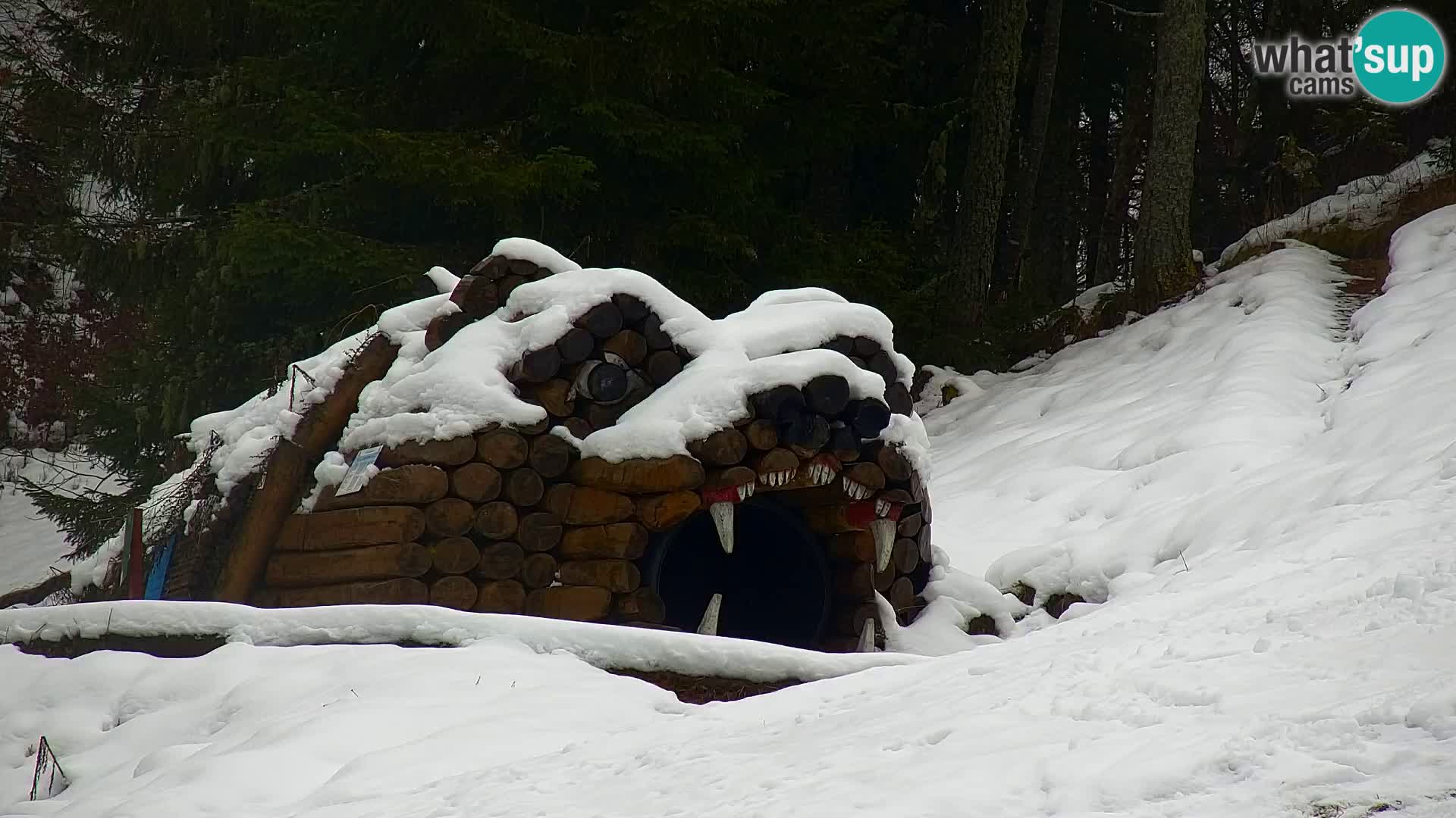 Kranjska Gora web kamera Vitranc | VITRANC 1 gornja postaja