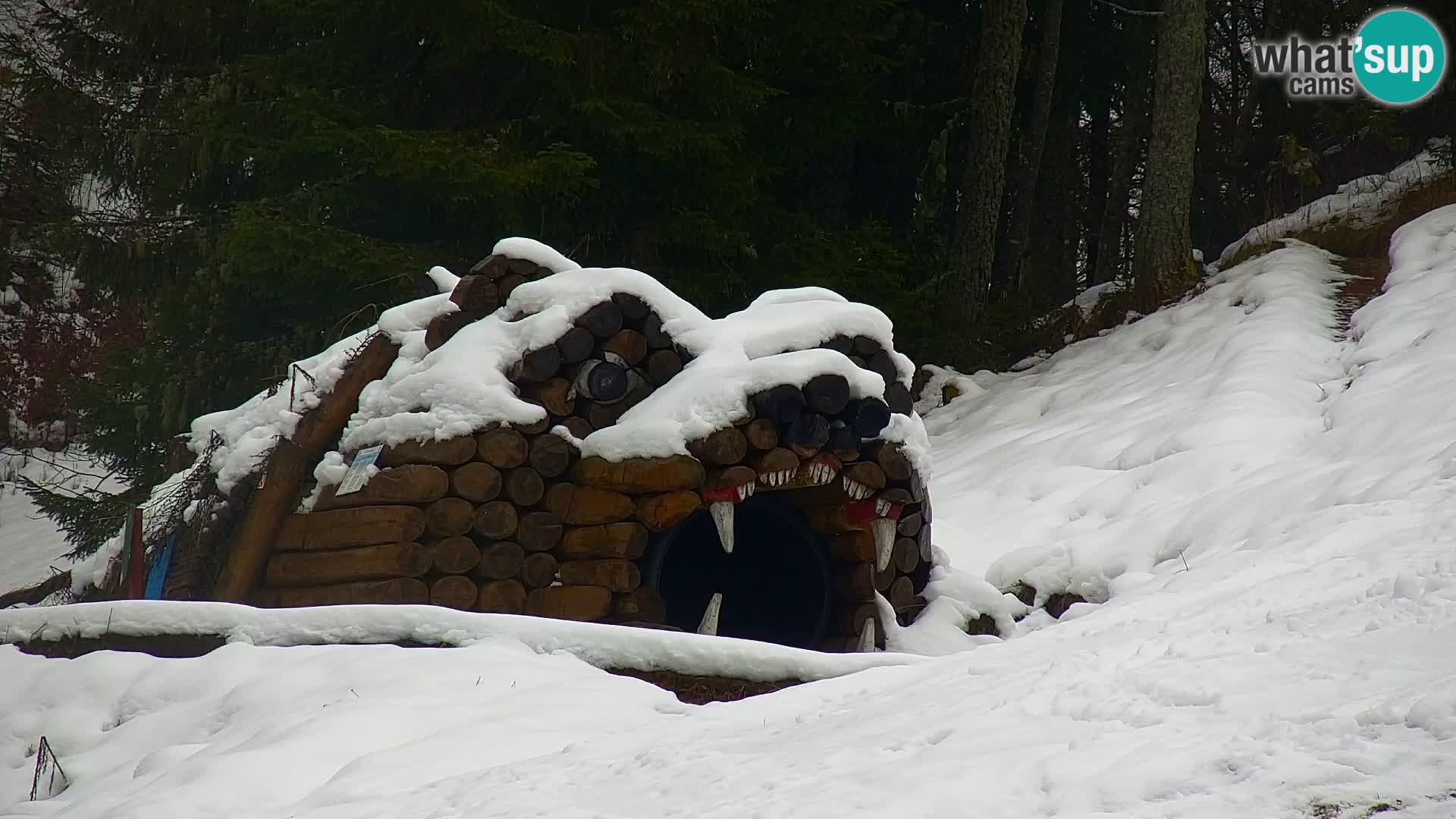 Kranjska Gora web kamera Vitranc | VITRANC 1 gornja postaja