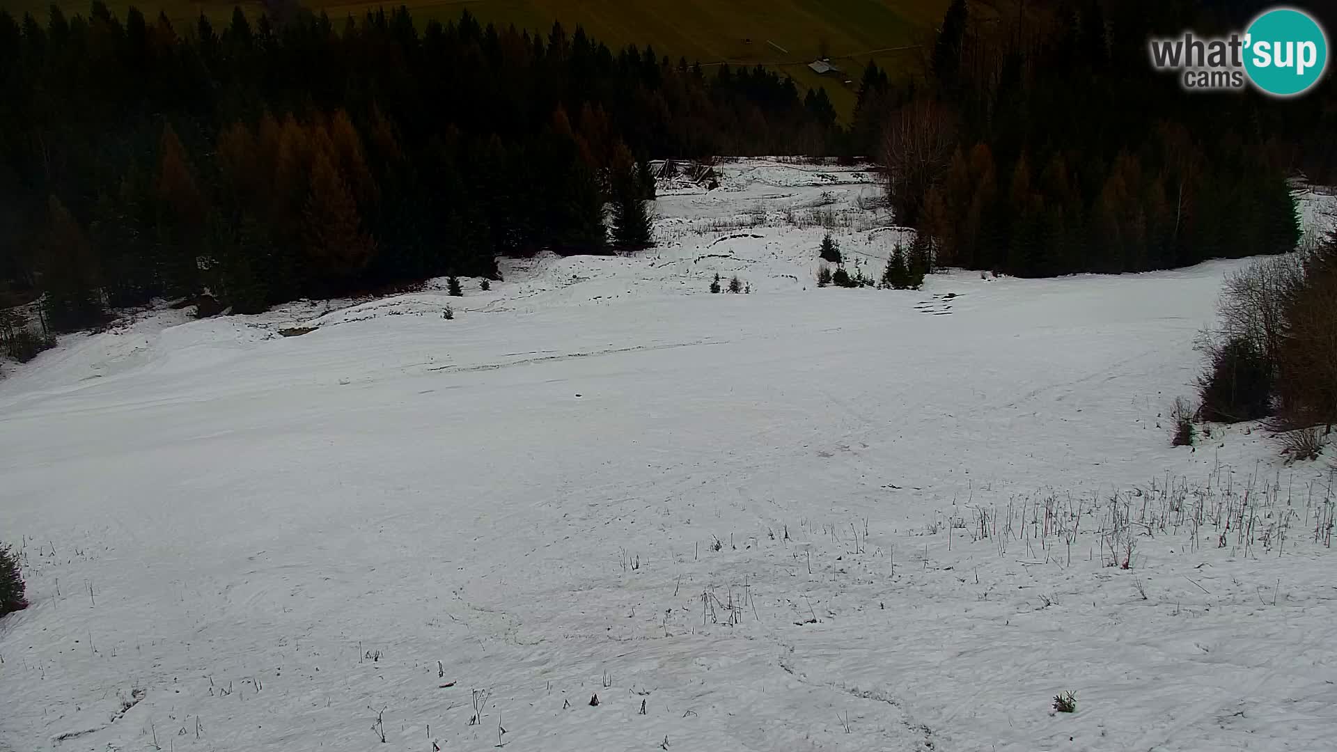 Kranjska Gora livecam VITRANC 1 | estación superior