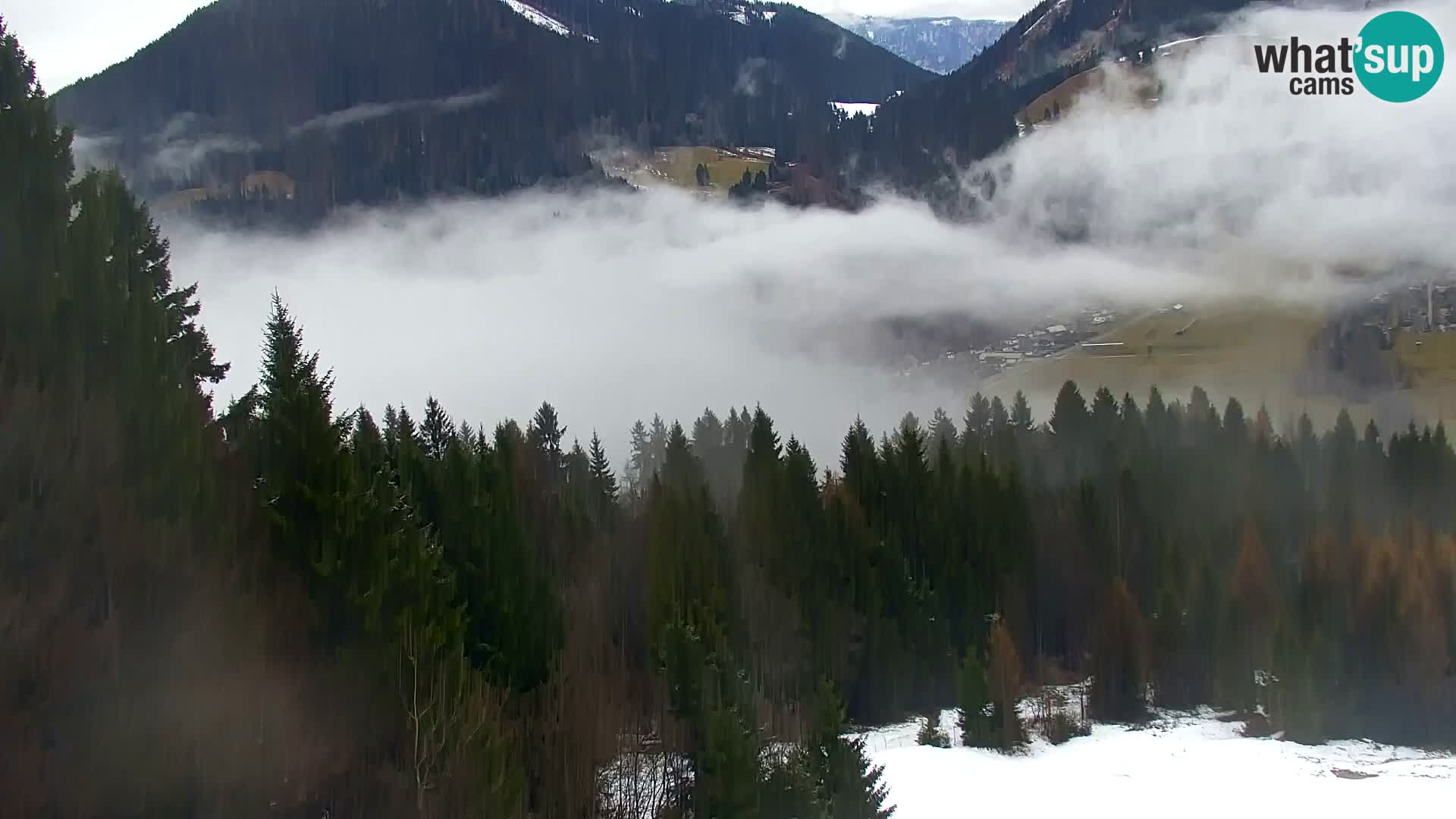 Vitranc Kranjska Gora webcam | VITRANC 1 stazione superiore