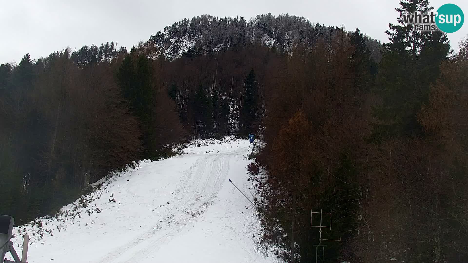 Kranjska Gora kamera VITRANC 1 | Zgornja postaja
