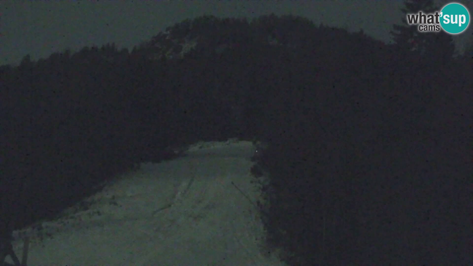 Vitranc Kranjska Gora webcam | VITRANC 1 stazione superiore