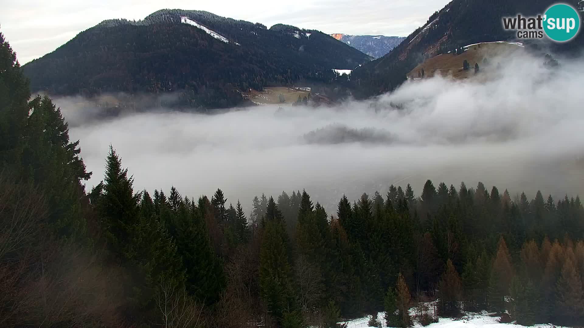 Vitranc Kranjska Gora webcam | VITRANC 1 stazione superiore