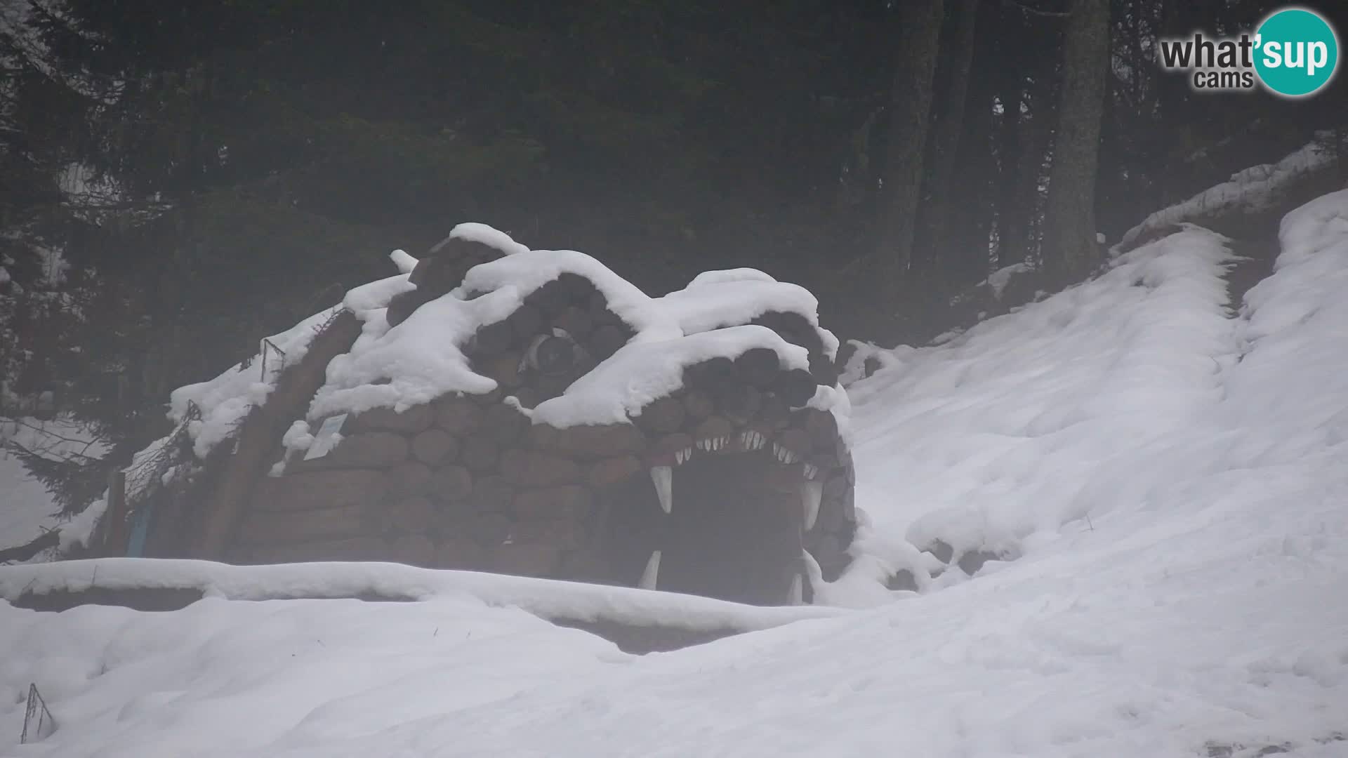 Kranjska Gora web kamera Vitranc | VITRANC 1 gornja postaja