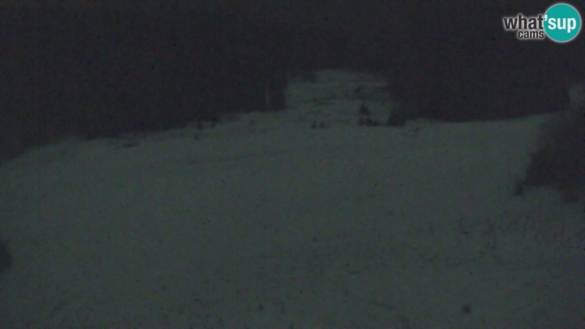 Vitranc Kranjska Gora webcam | VITRANC 1 stazione superiore