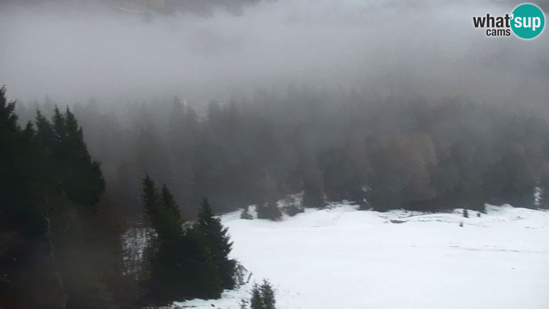 Vitranc Kranjska Gora webcam | VITRANC 1 stazione superiore