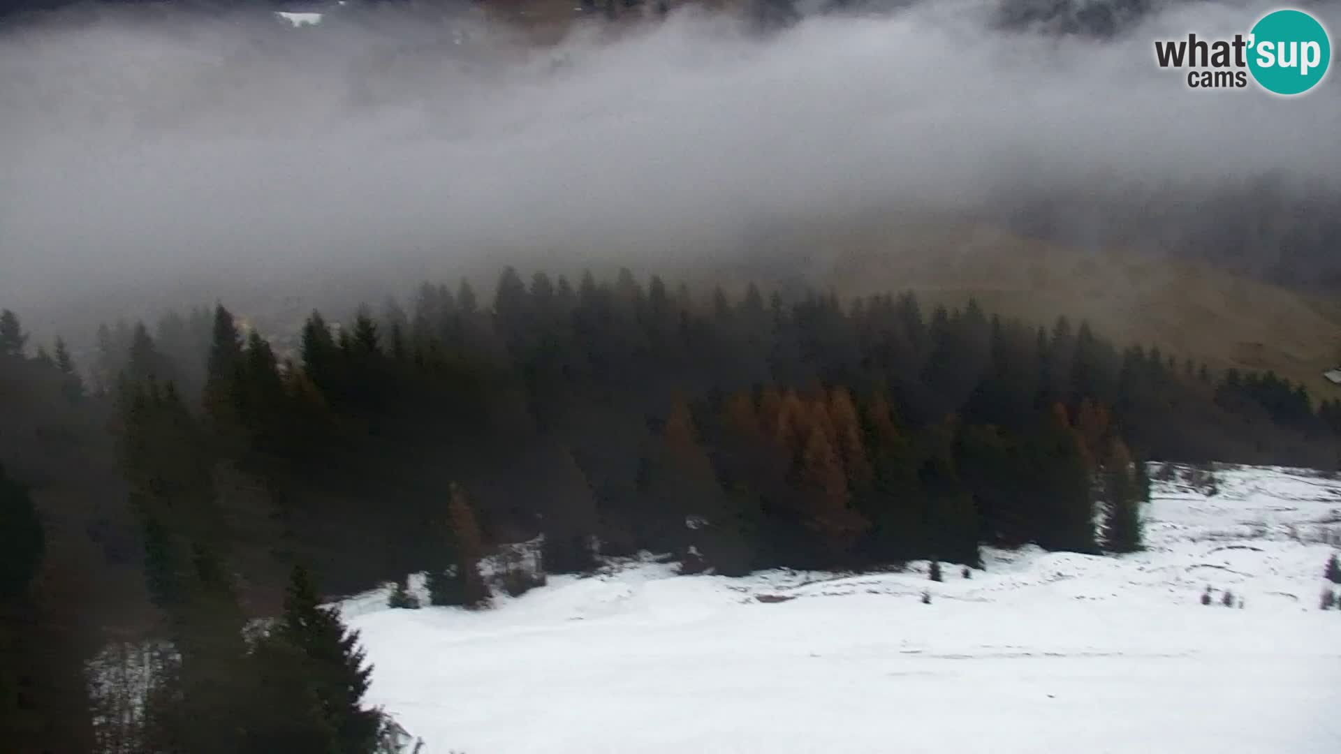 Kranjska Gora webcam VITRANC 1 | obere Station