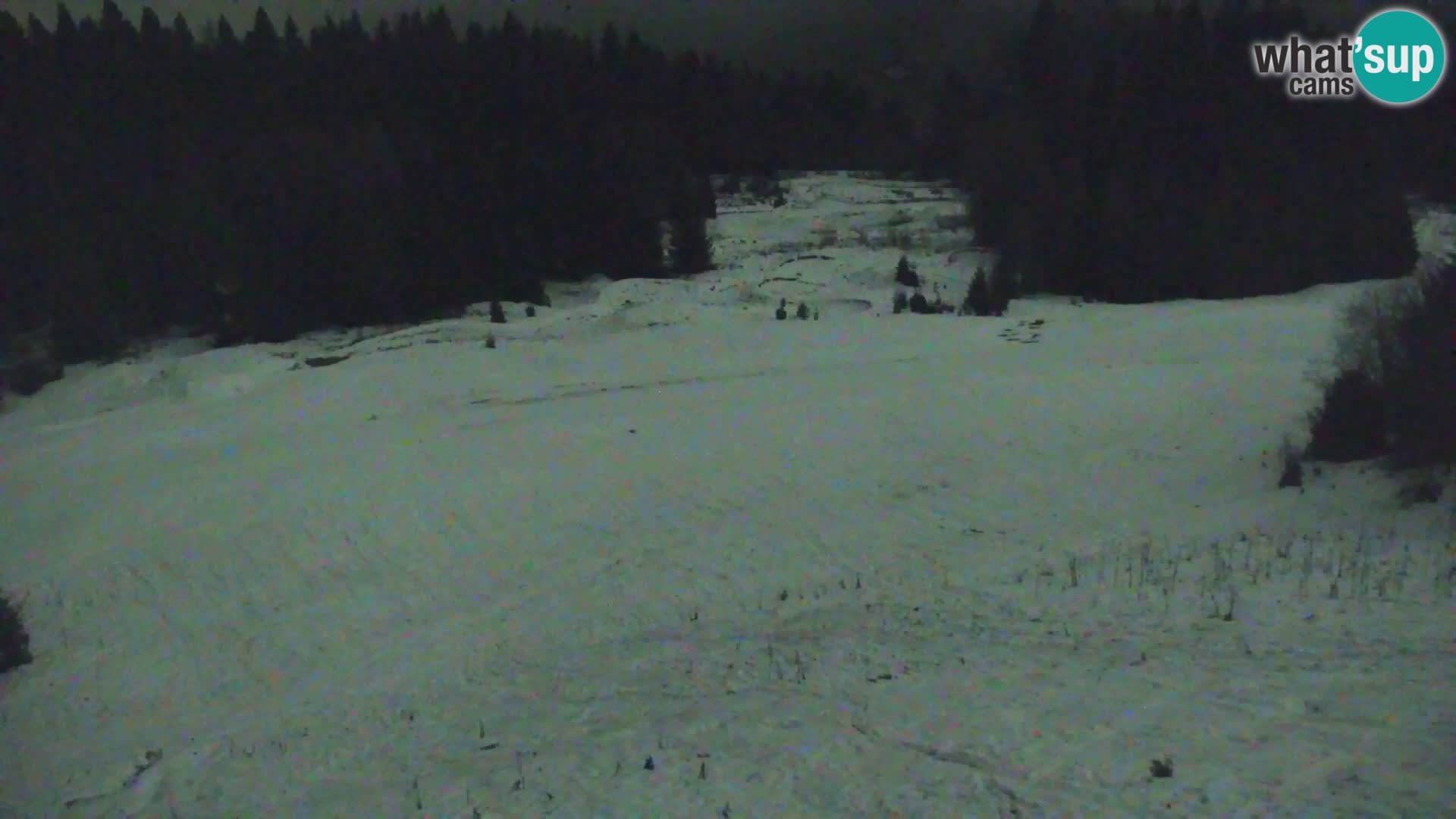 Vitranc Kranjska Gora webcam | VITRANC 1 stazione superiore