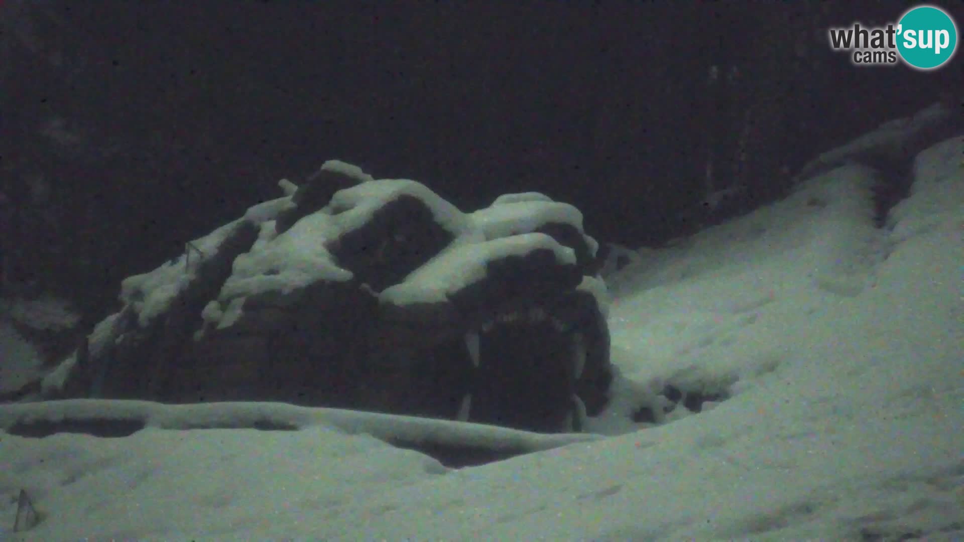 Vitranc Kranjska Gora webcam | VITRANC 1 stazione superiore