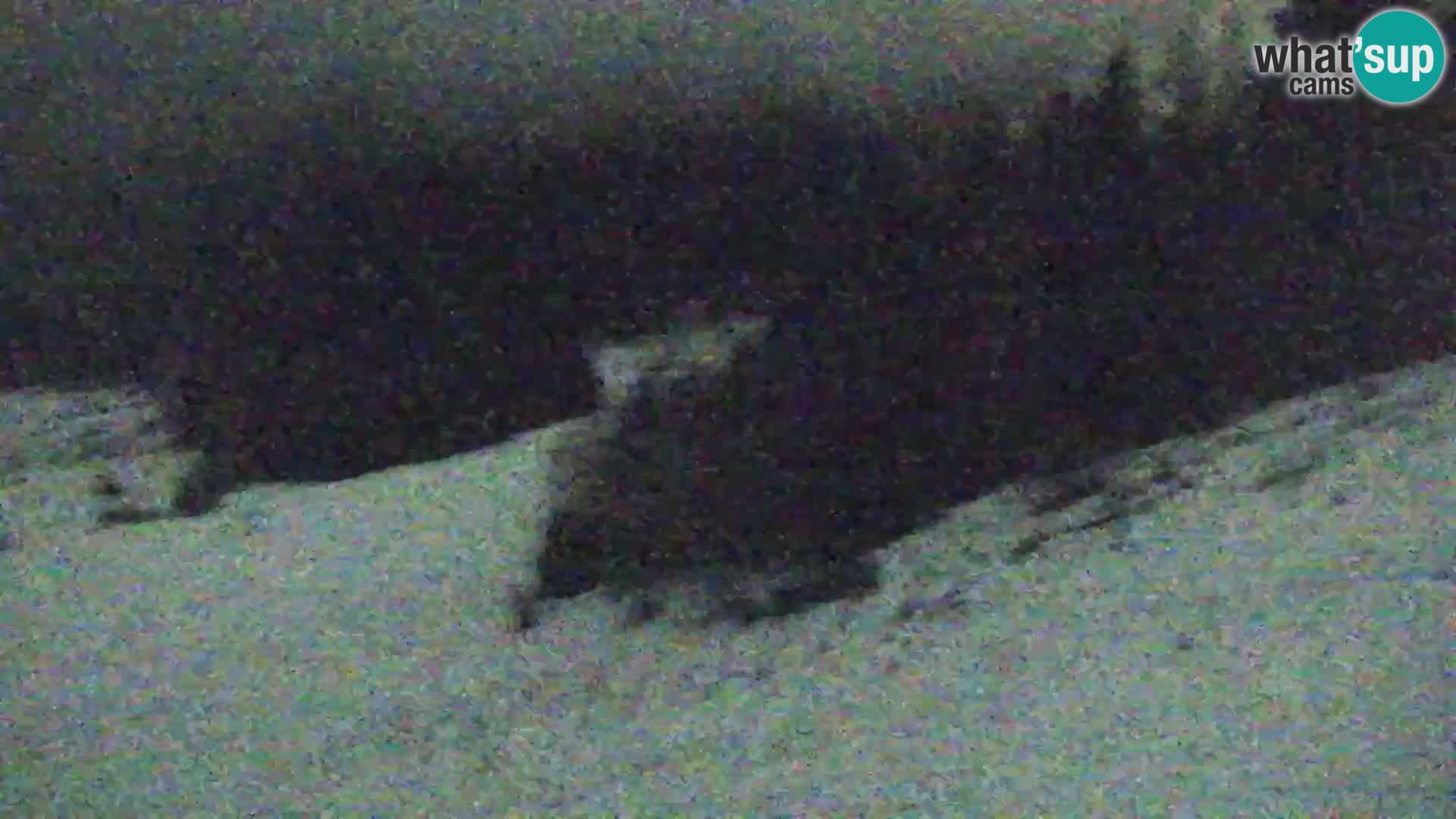 Kranjska Gora web kamera Vitranc | VITRANC 1 gornja postaja