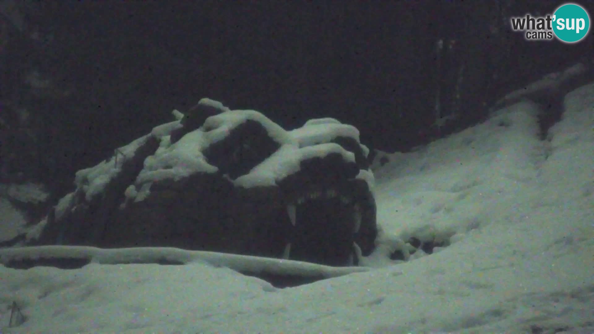 Vitranc Kranjska Gora webcam | VITRANC 1 stazione superiore