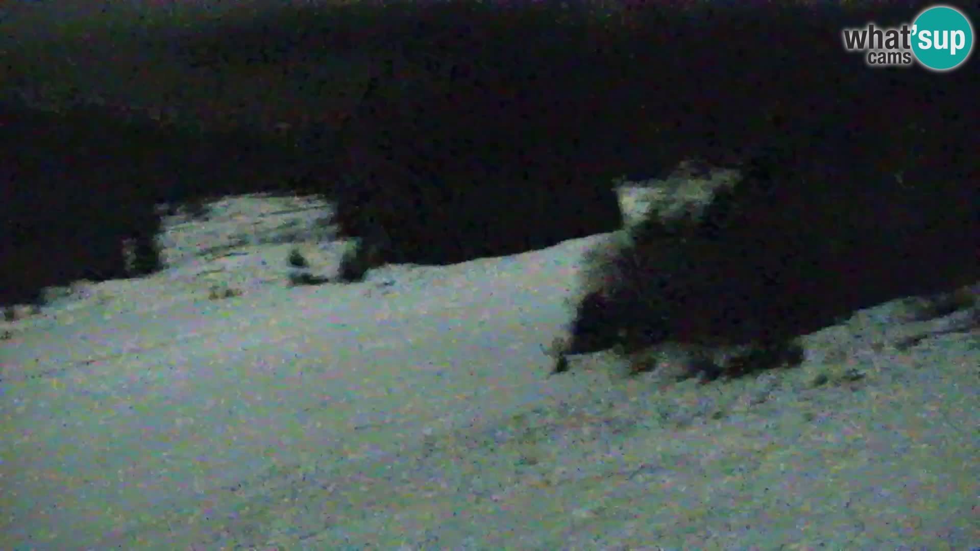 Vitranc Kranjska Gora webcam | VITRANC 1 stazione superiore