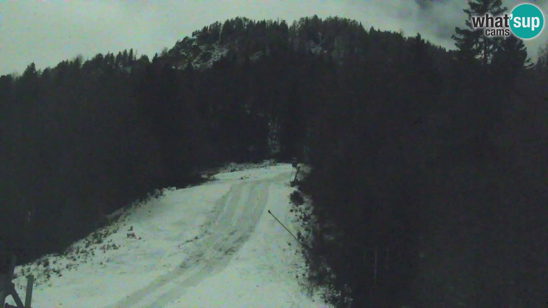 Kranjska Gora web kamera Vitranc | VITRANC 1 gornja postaja