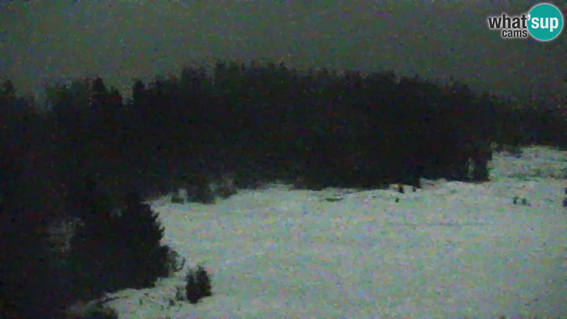 Kranjska Gora livecam VITRANC 1 | estación superior