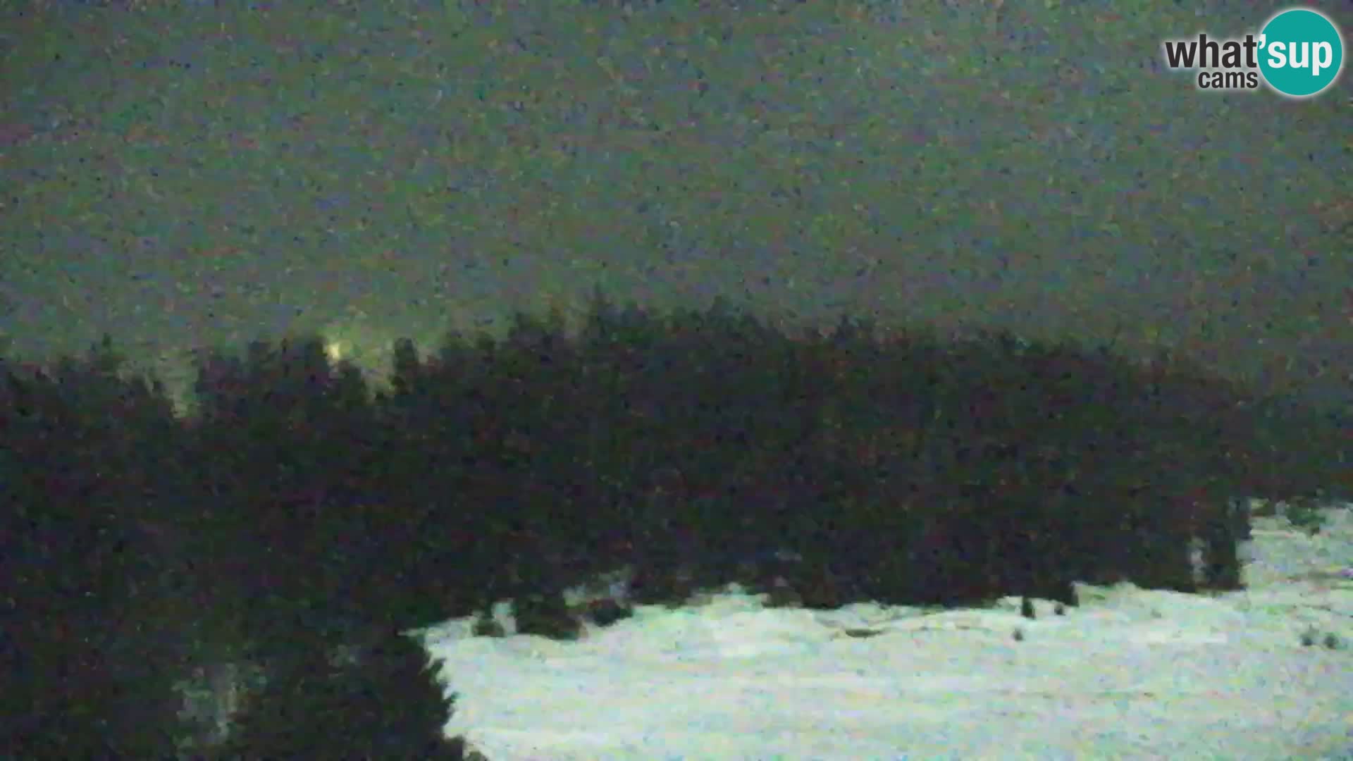 Vitranc Kranjska Gora webcam | VITRANC 1 stazione superiore