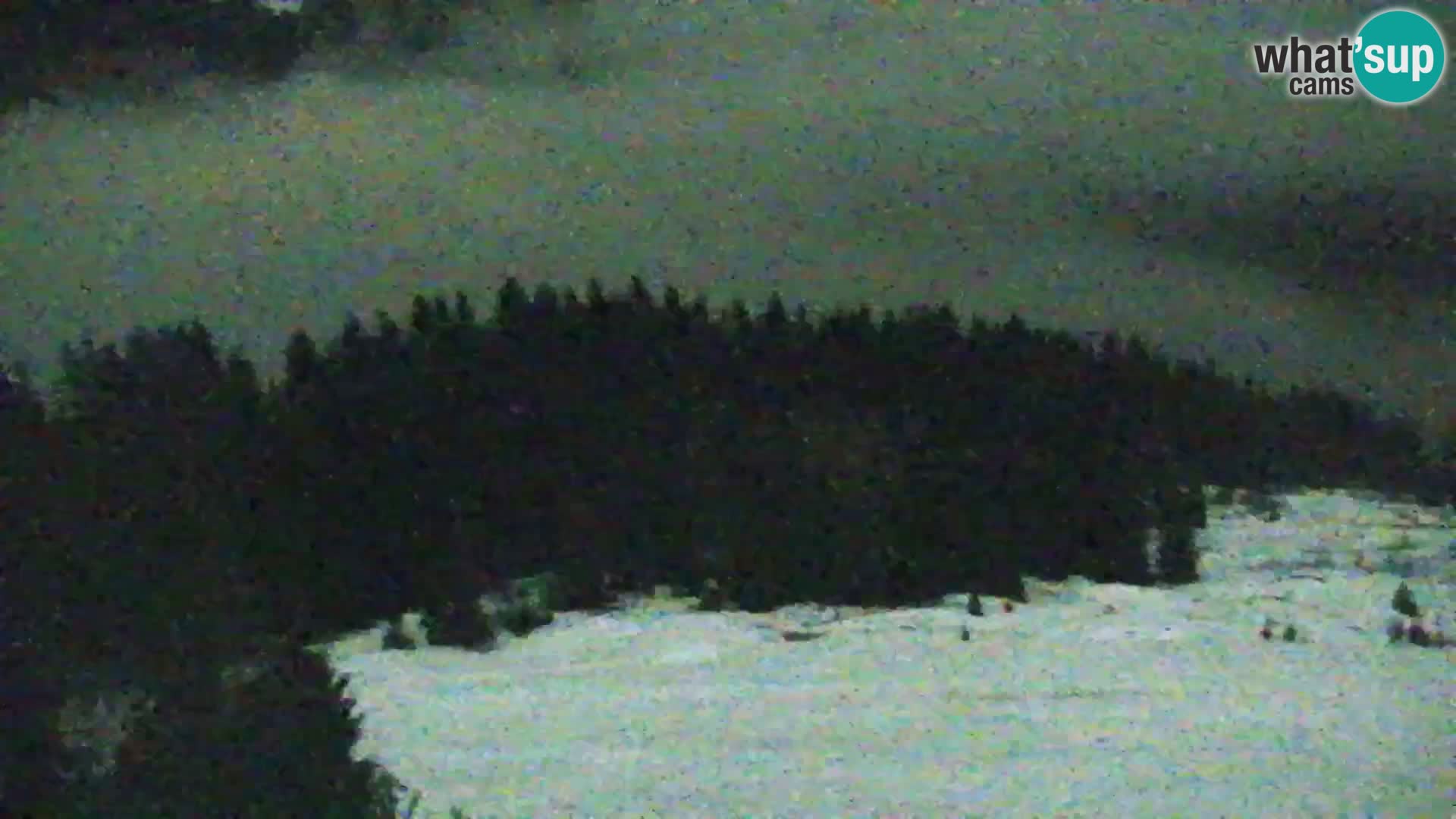 Vitranc Kranjska Gora webcam | VITRANC 1 stazione superiore