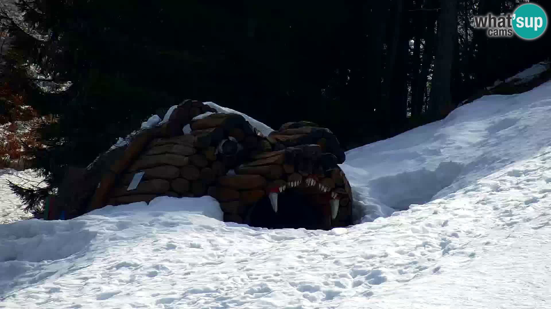 Kranjska Gora livecam VITRANC 1 | estación superior