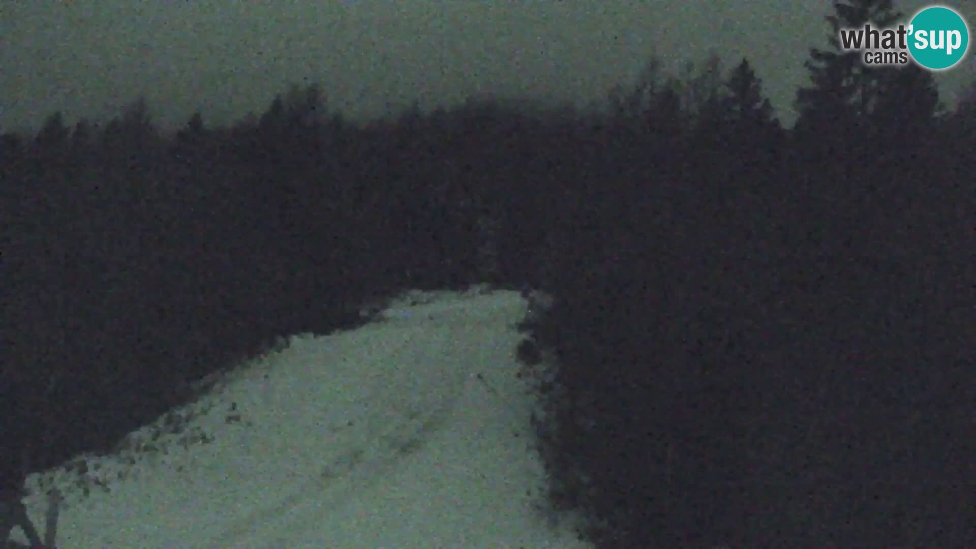 Vitranc Kranjska Gora webcam | VITRANC 1 stazione superiore