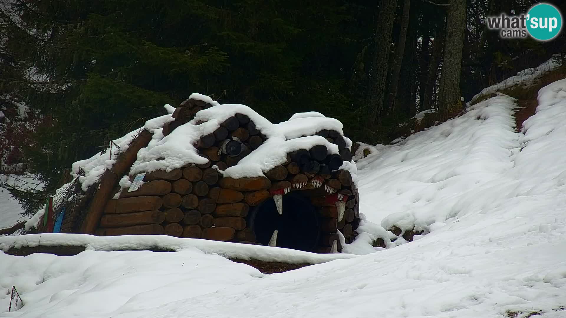 Kranjska Gora webcam VITRANC 1 | obere Station