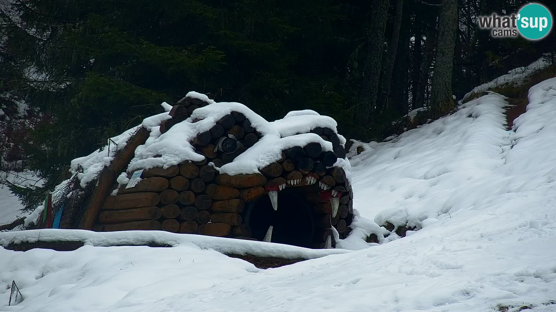 Kranjska Gora livecam VITRANC 1 | estación superior