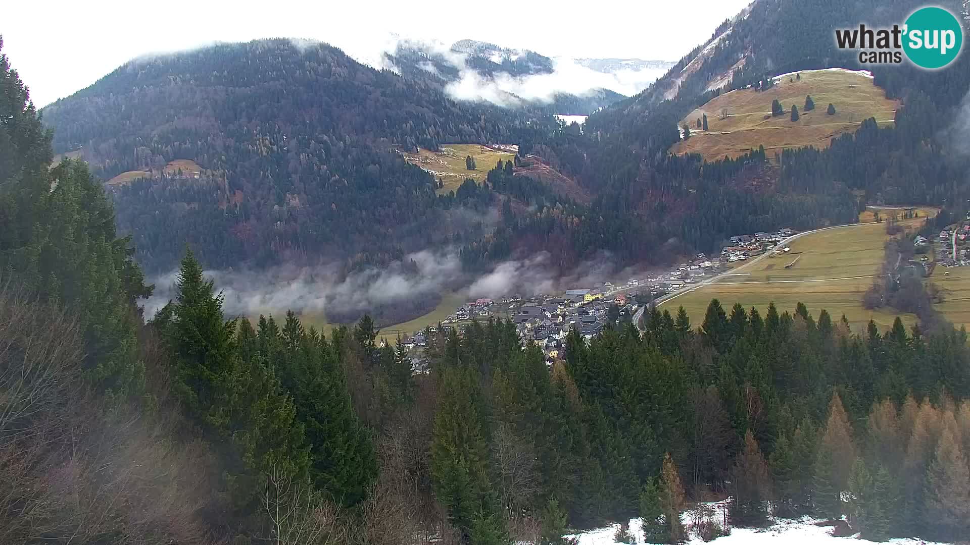 Vitranc Kranjska Gora webcam | VITRANC 1 stazione superiore