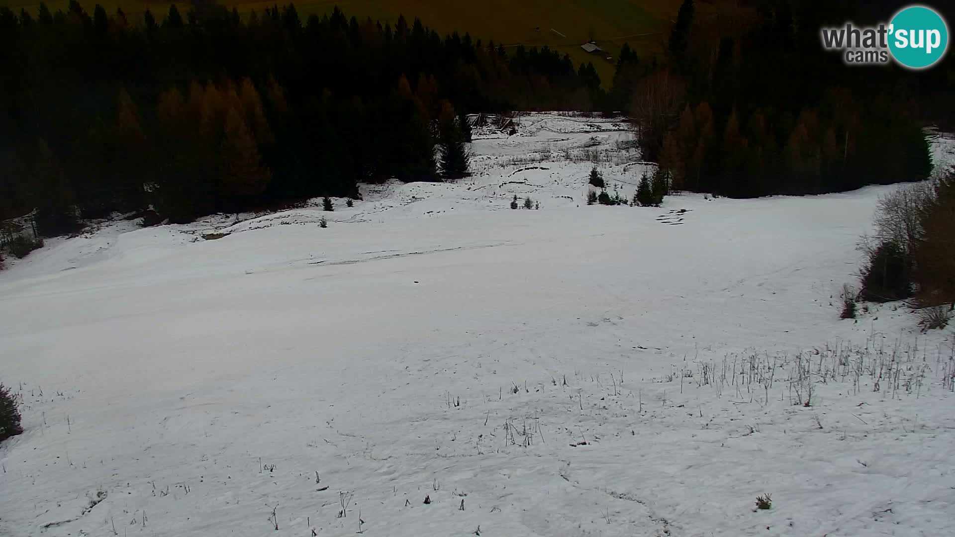 Kranjska Gora livecam VITRANC 1 | estación superior