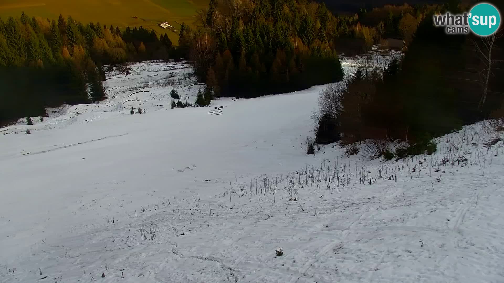 Vitranc Kranjska Gora webcam | VITRANC 1 stazione superiore