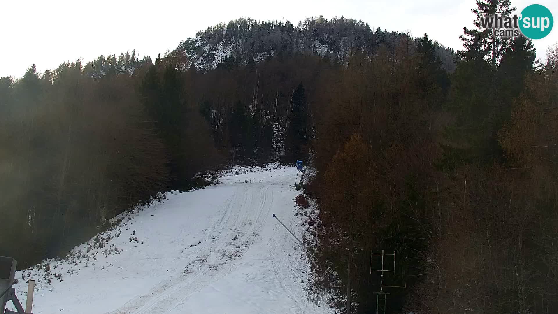 Kranjska Gora livecam VITRANC 1 | estación superior