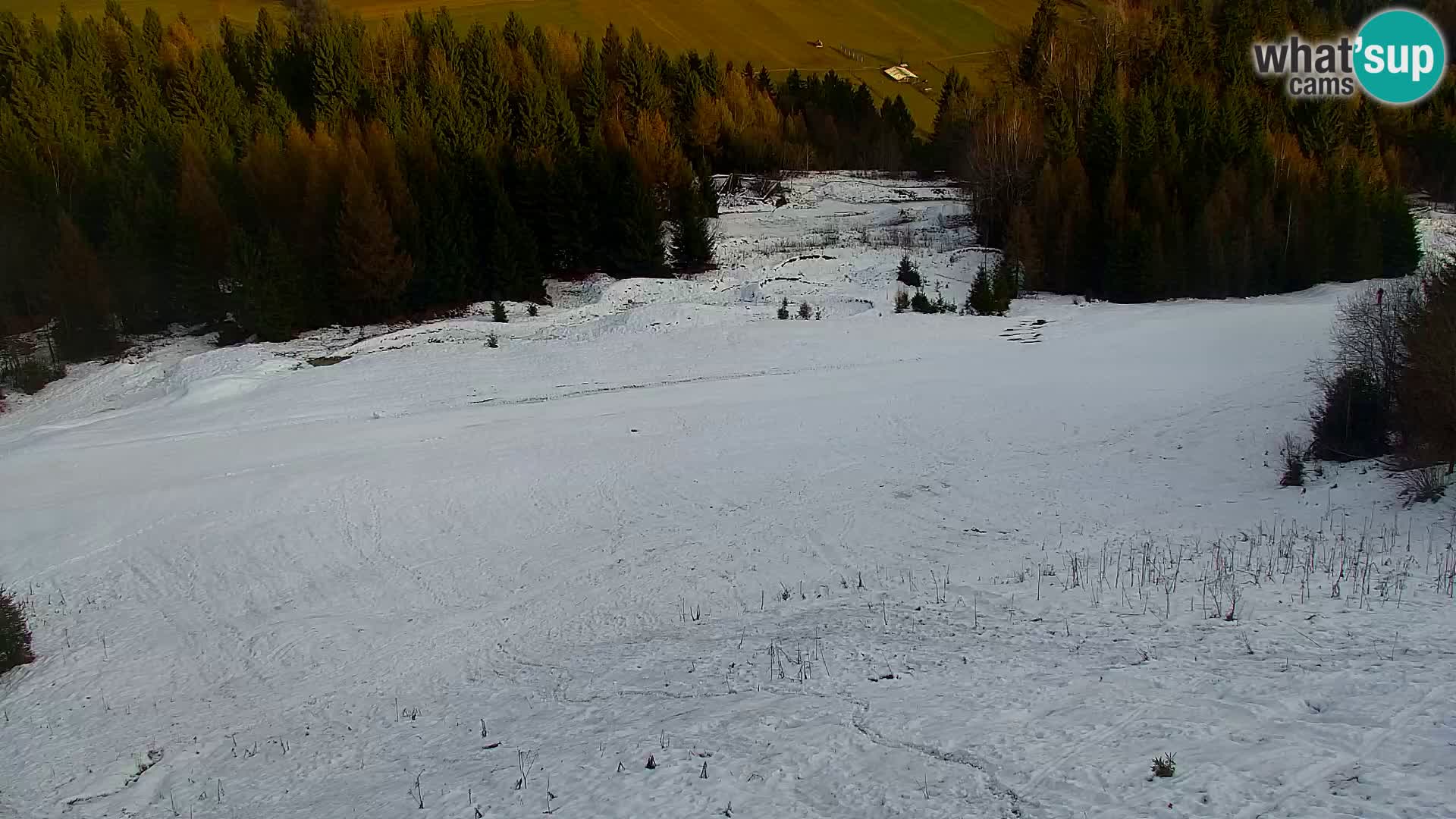 Vitranc Kranjska Gora webcam | VITRANC 1 stazione superiore